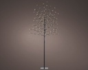 ***LED TREE OUTDOOR BLACK/WARM WHITE dia70.00-H180.00cm-160L