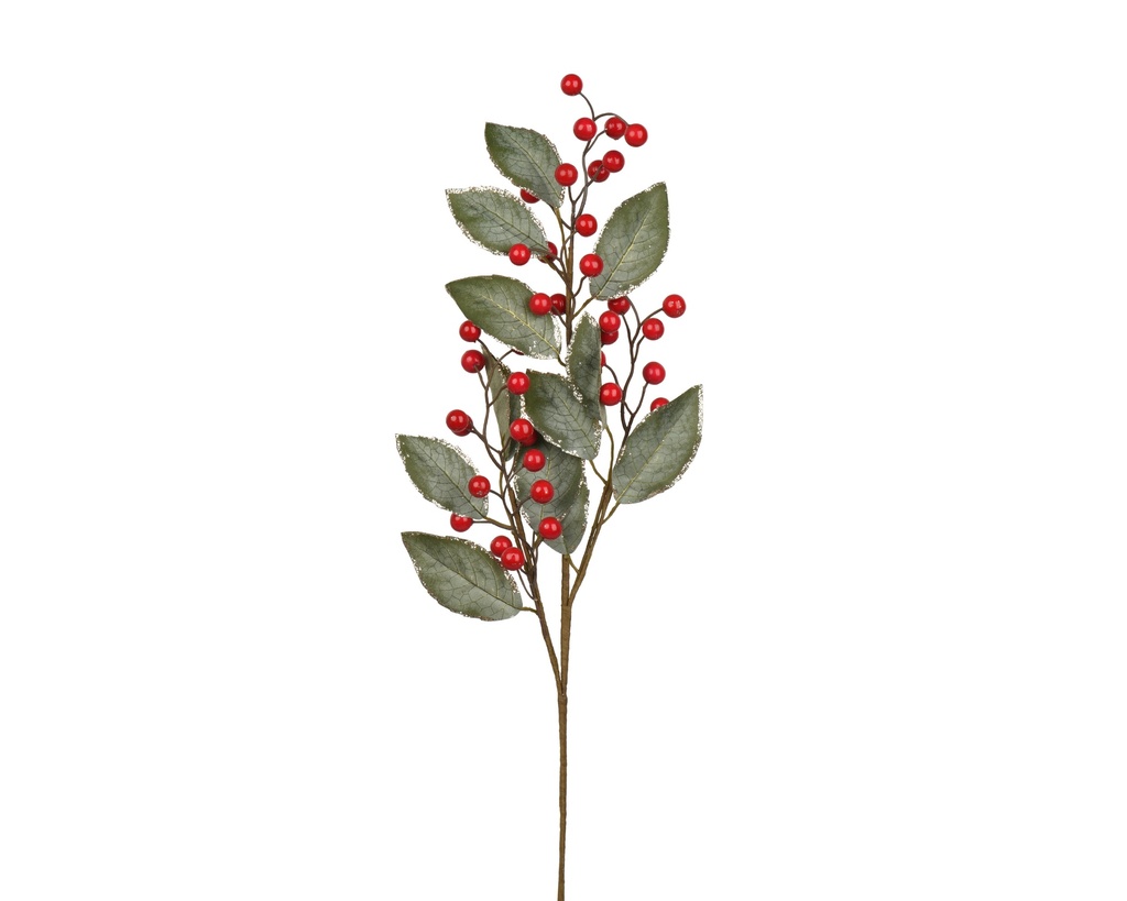 RAMA VERDE/GRISACEA CON BAYAS ROJAS - L3.00-W22.00-H69.00cm