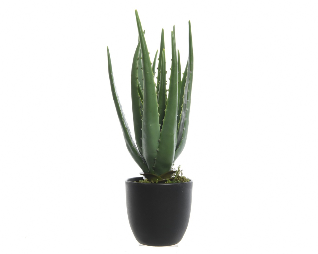 ALOE VERA EN POT - REALISTE ET DECORATIVE - IDEAL POUR COUR ET/OU TERRASSE - DIA25-H35CM