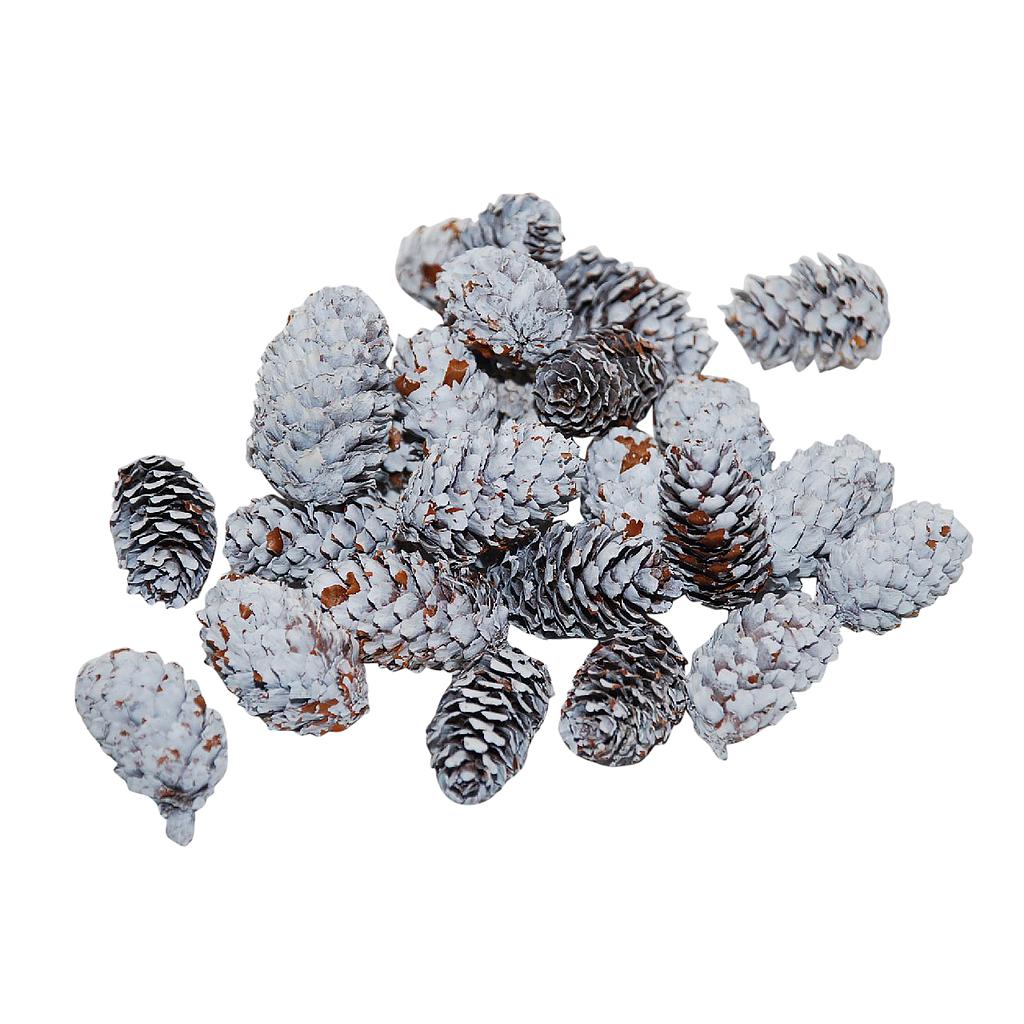 MINI PIÑAS BLC.BOLSA 4-5CM