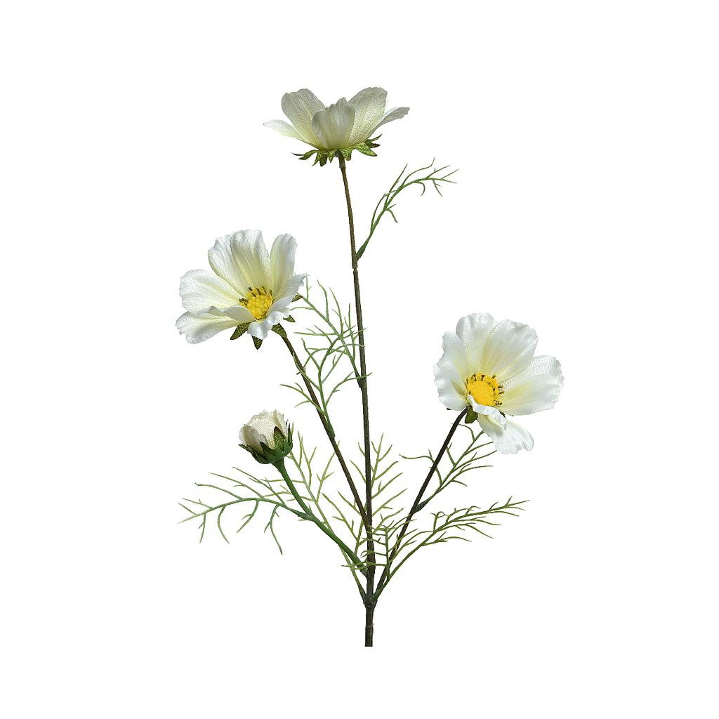 COREOPSIS BLANCA - RAMA DE 64CM