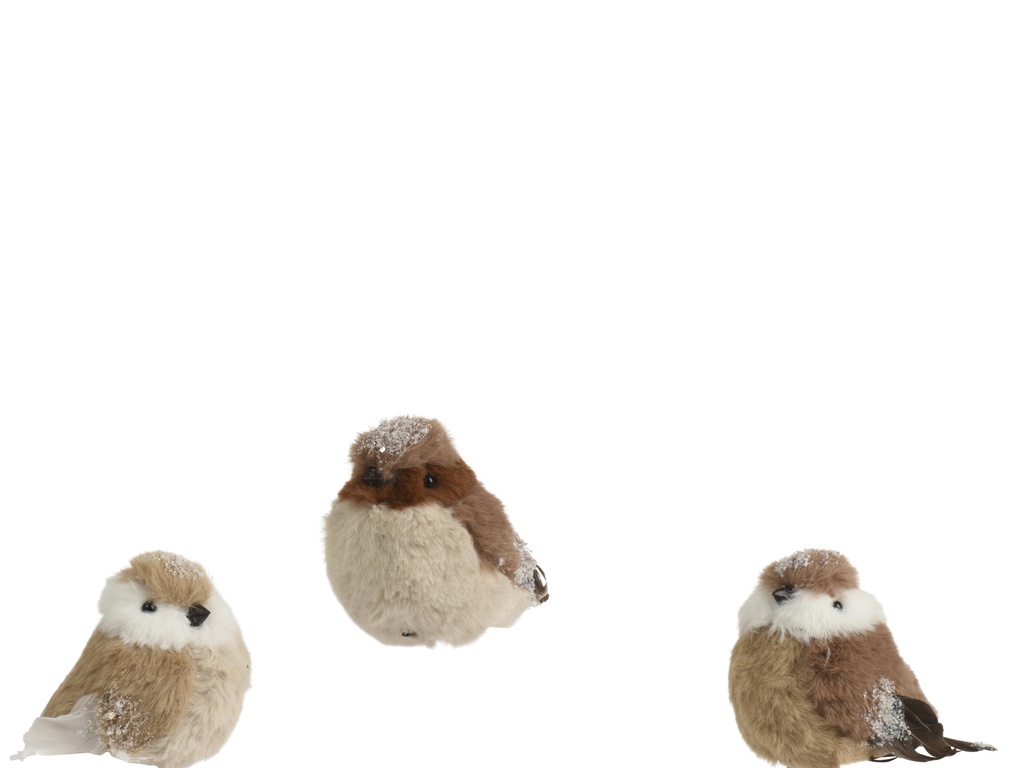 PAJARITOS - POLIESTER - 3 SURTIDOS - PRECIO UNIDAD -L7.00-W11.00-H9.00cm