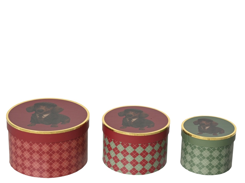 ***GIFTBOX CARDBOARD DACHSHUND ASSORTED dia18.00-H11.00cm  / dia15.00-H10.00cm  / dia12.00-H9.00cm