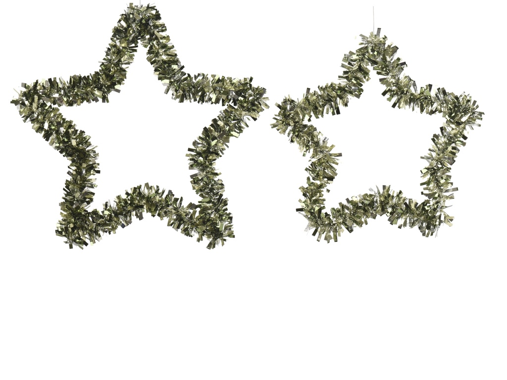 ***STAR PET L 38- S30CM MULTI dia38.00-H4.00cm  / dia30.00-H4.00cm