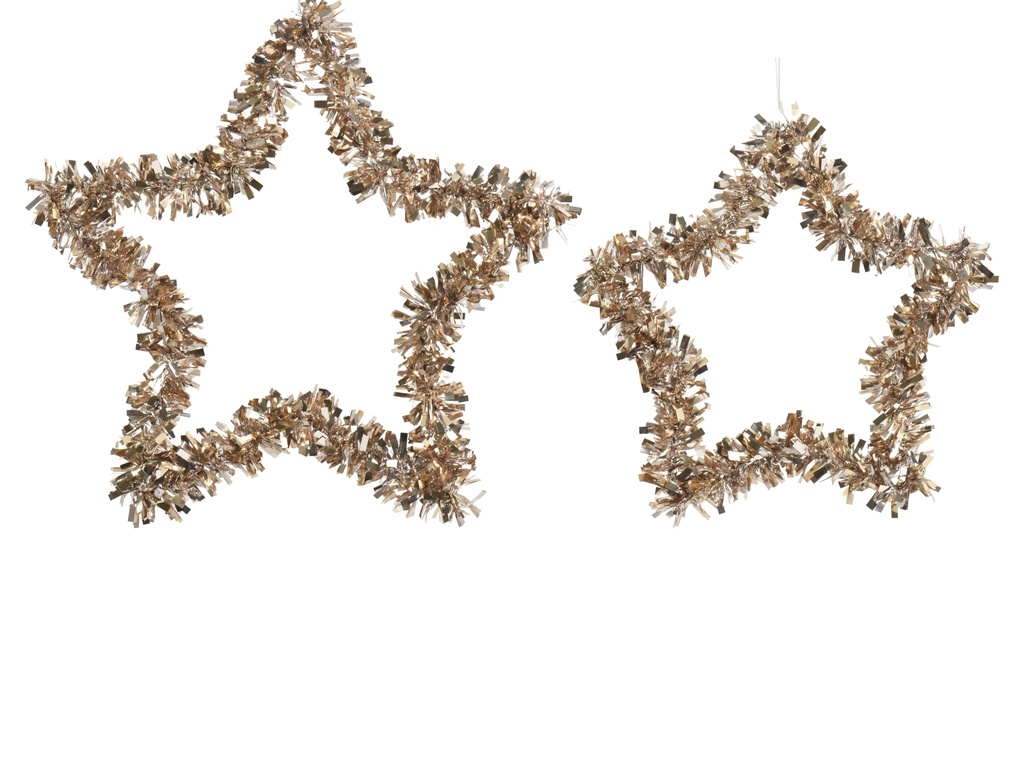 ***STAR PET L 38- S30CM MULTI dia38.00-H4.00cm  / dia30.00-H4.00cm