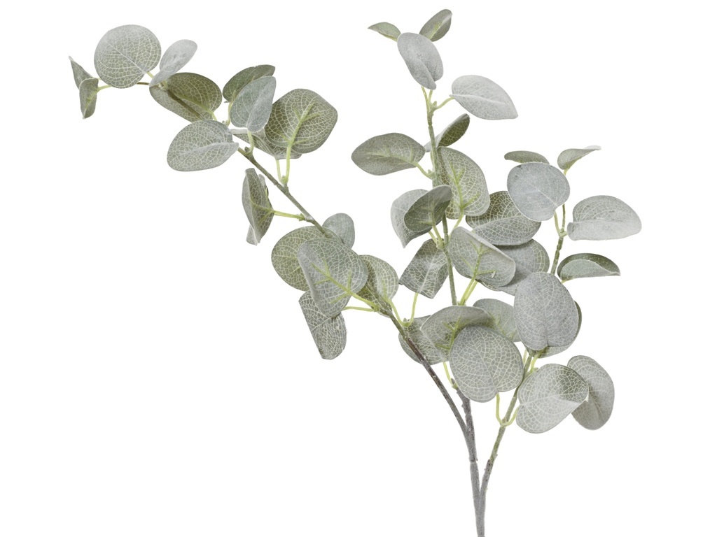 ***EUCALYPTHUS POLYESTER SOFT GREEN L17.00-W17.00-H69.00cm