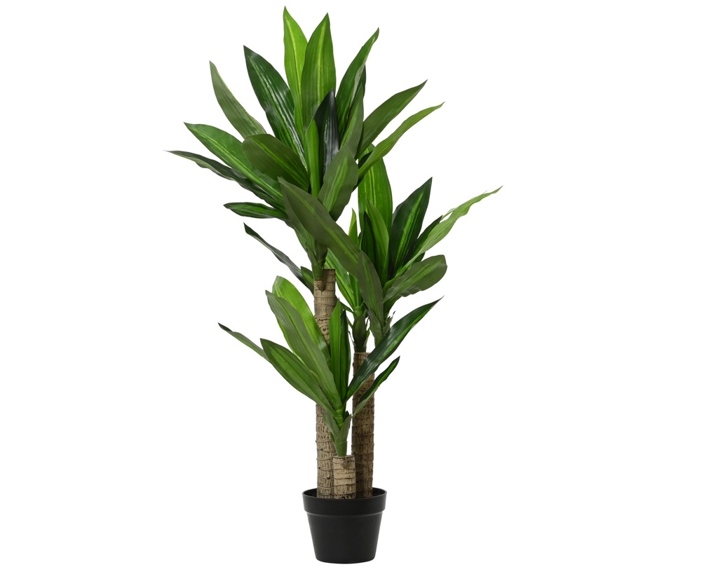 ***ART. PLANT DRACAENA FRAGRANS IN POT PLASTIC GREEN L.65cm x W.65cm x H.105cm