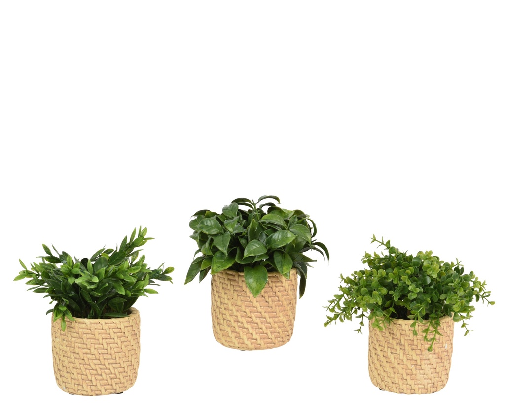 ***ART. PLANT HERBS IN POT PE GREEN D.20cm x H.19cm