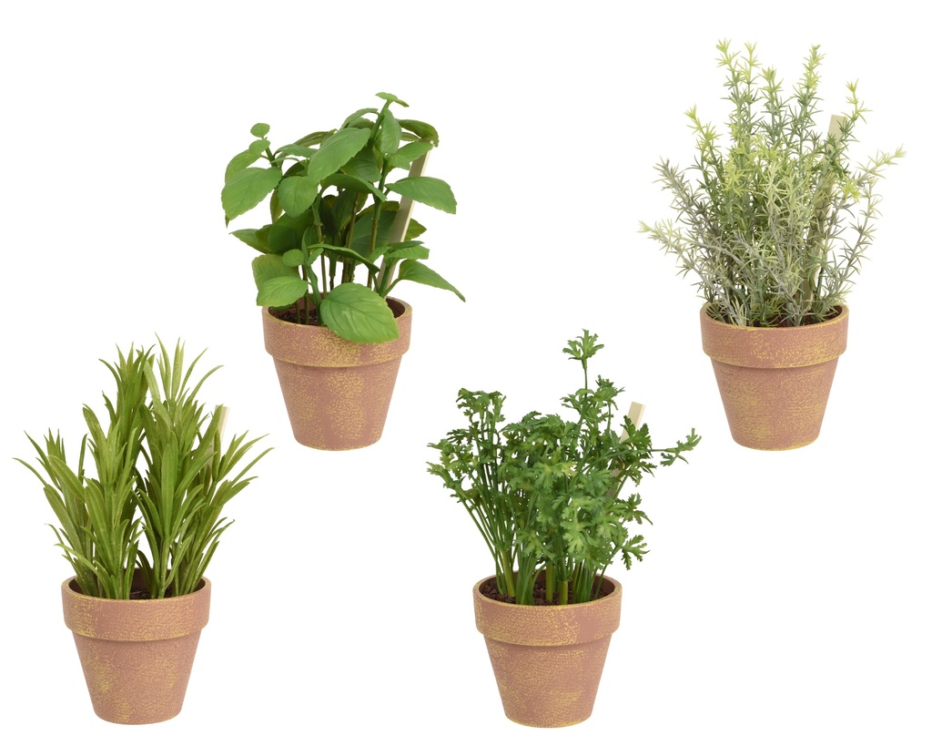 ***ART. PLANT HERB MIX IN POT PLASTIC GREEN D.20cm x H.26cm