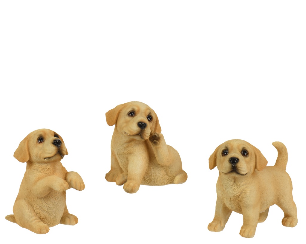 ***DOG POLYRESIN PAINTING 3ASS NATURAL L.11.5cm x W.6cm x H.11cm