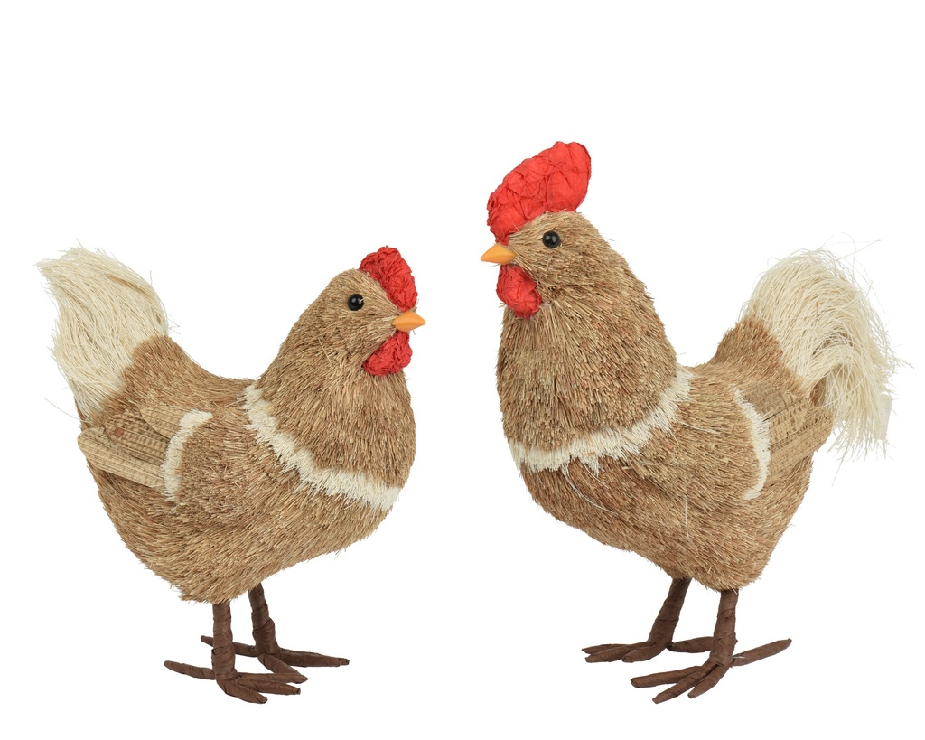 ***CHICKEN GRASS 2ASS BROWN/COLOUR(S) L.28cm x W.15cm x H.36cm