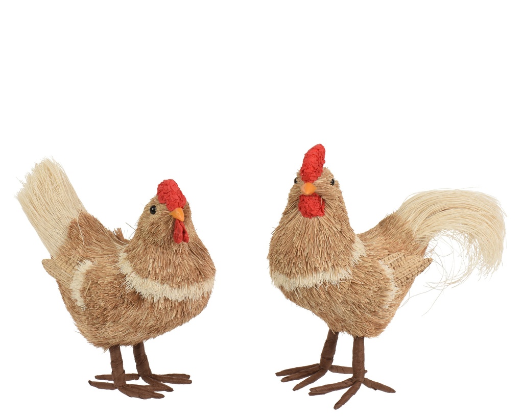 ***CHICKEN GRASS 2ASS BROWN/COLOUR(S) L.22cm x W.11cm x H.24cm