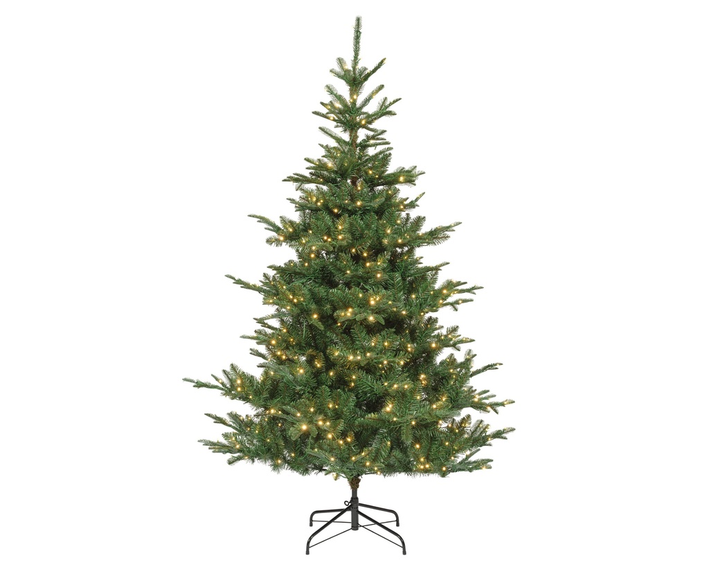 ***KIENS FIR PRELIT GREEN/WARM WHITE/CLASSIC WARM dia165.00-H240.00cm-730L