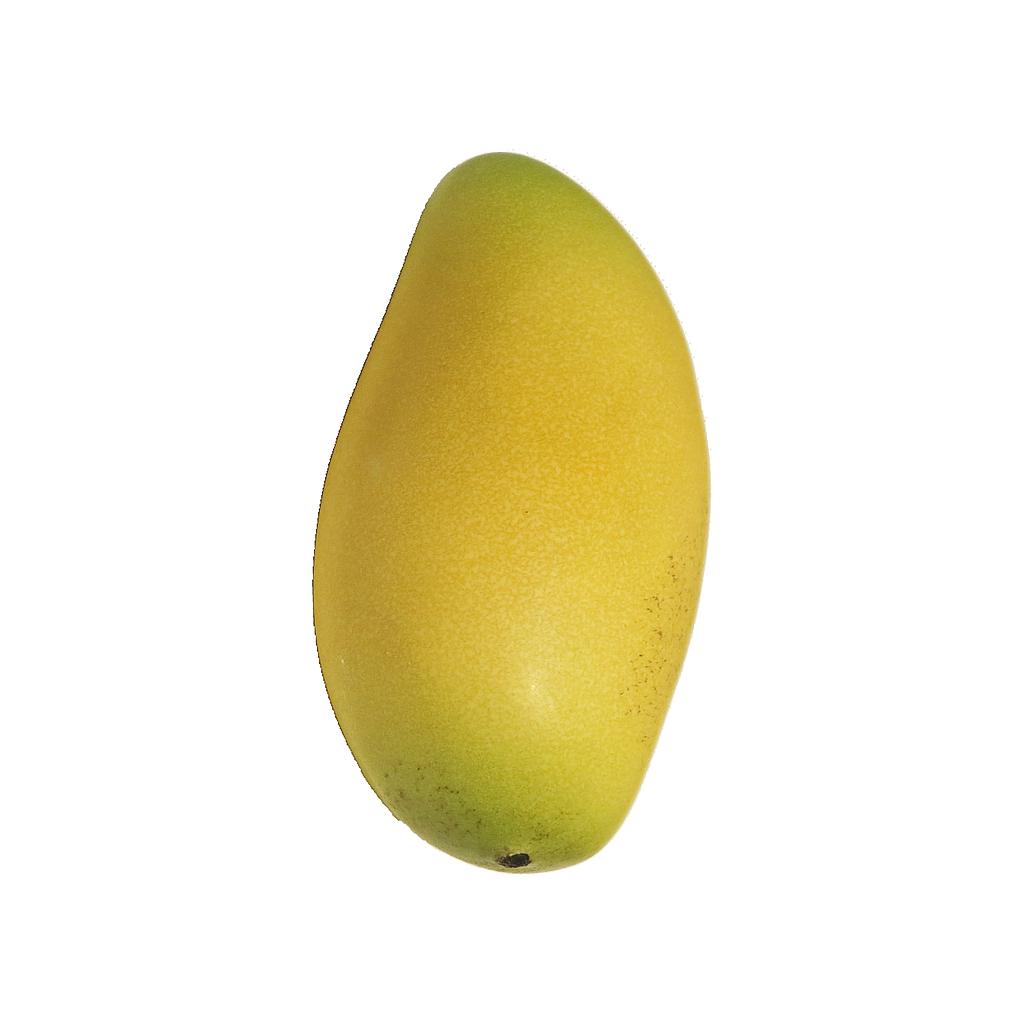MANGO- CASI REAL!- 12 CM - CAJA DE 6 UDS