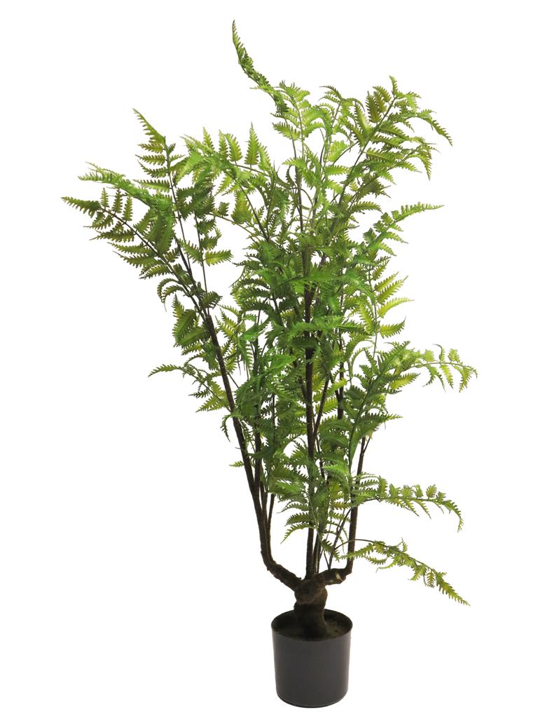 ***Forest fern tree in pot green 88cm