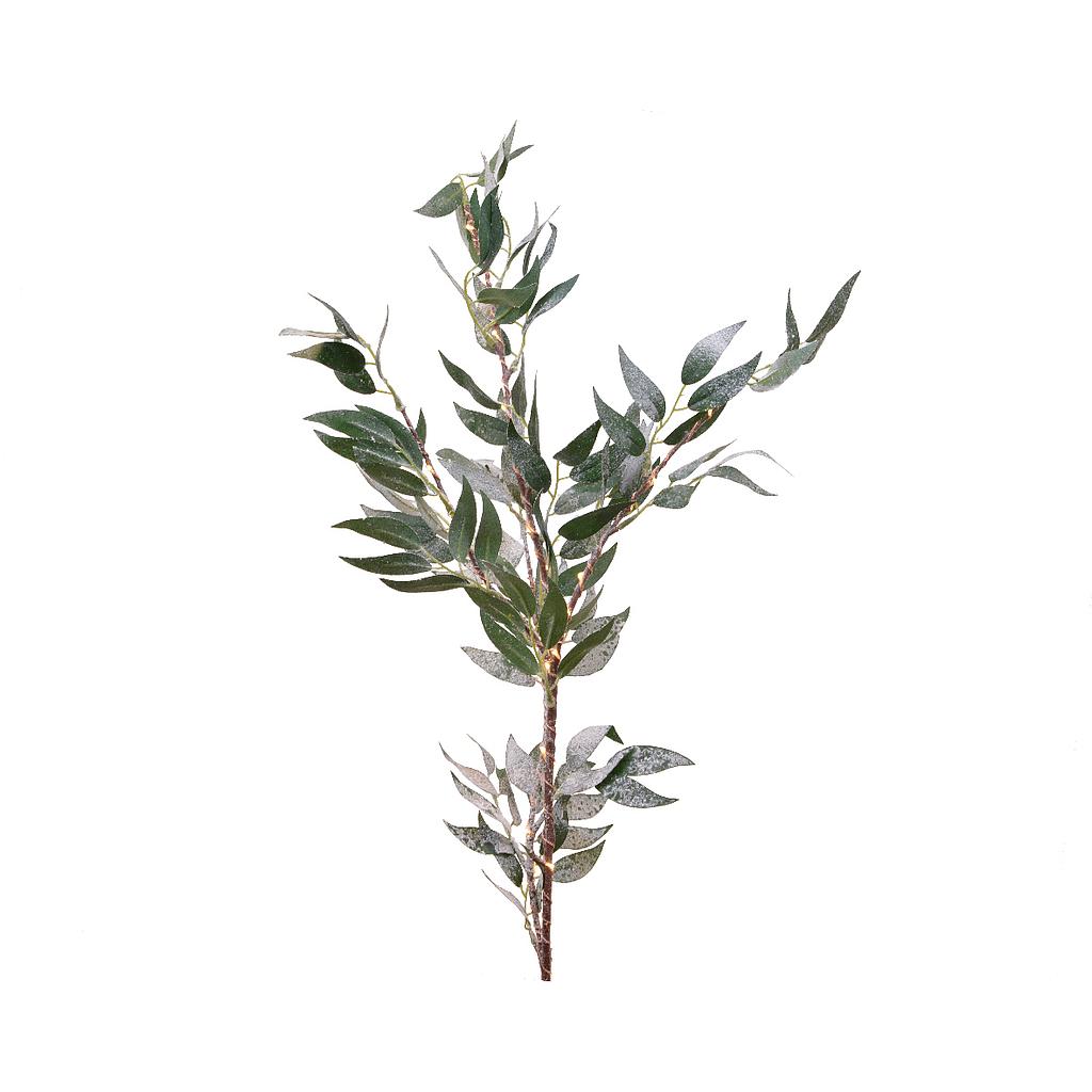 MICRO LED OLIVE BRANCH OUT BO