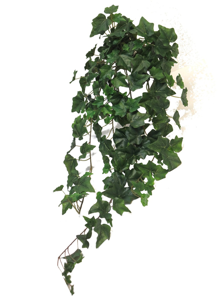 (Best) Ivy Chicago hanger L green 86cm (203 lvs)