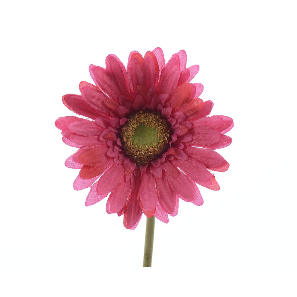 GERBERA. 50CM. FUCSIA.  UD
