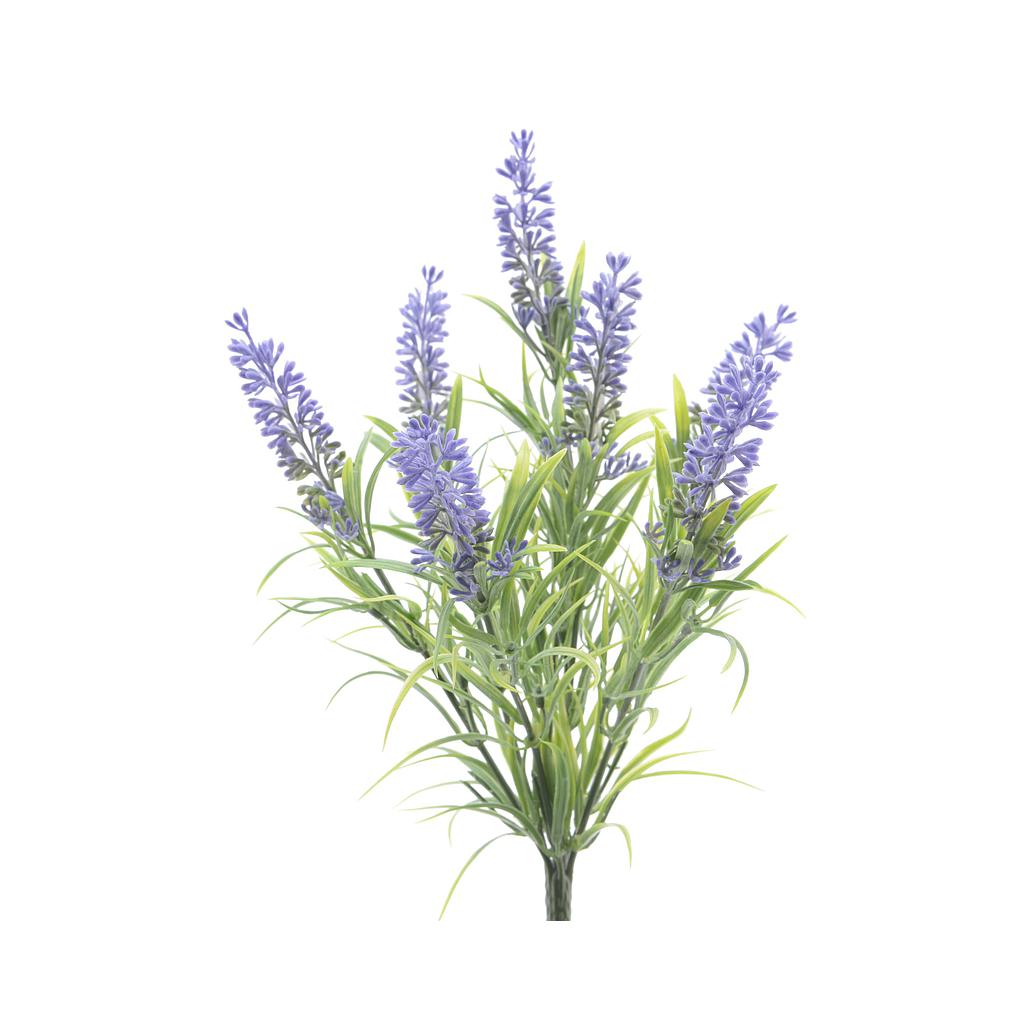 LAVENDER PLASTIC L13-W13-H34CM