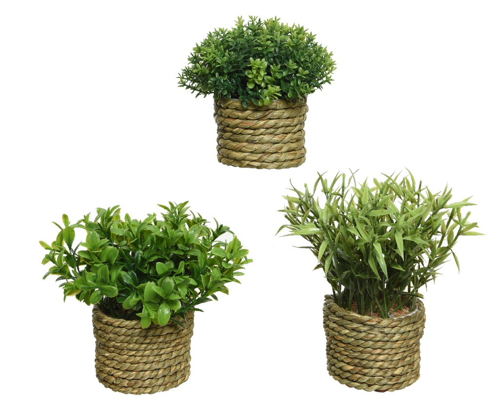 PLANT POLYESTER DIA16-H13CM