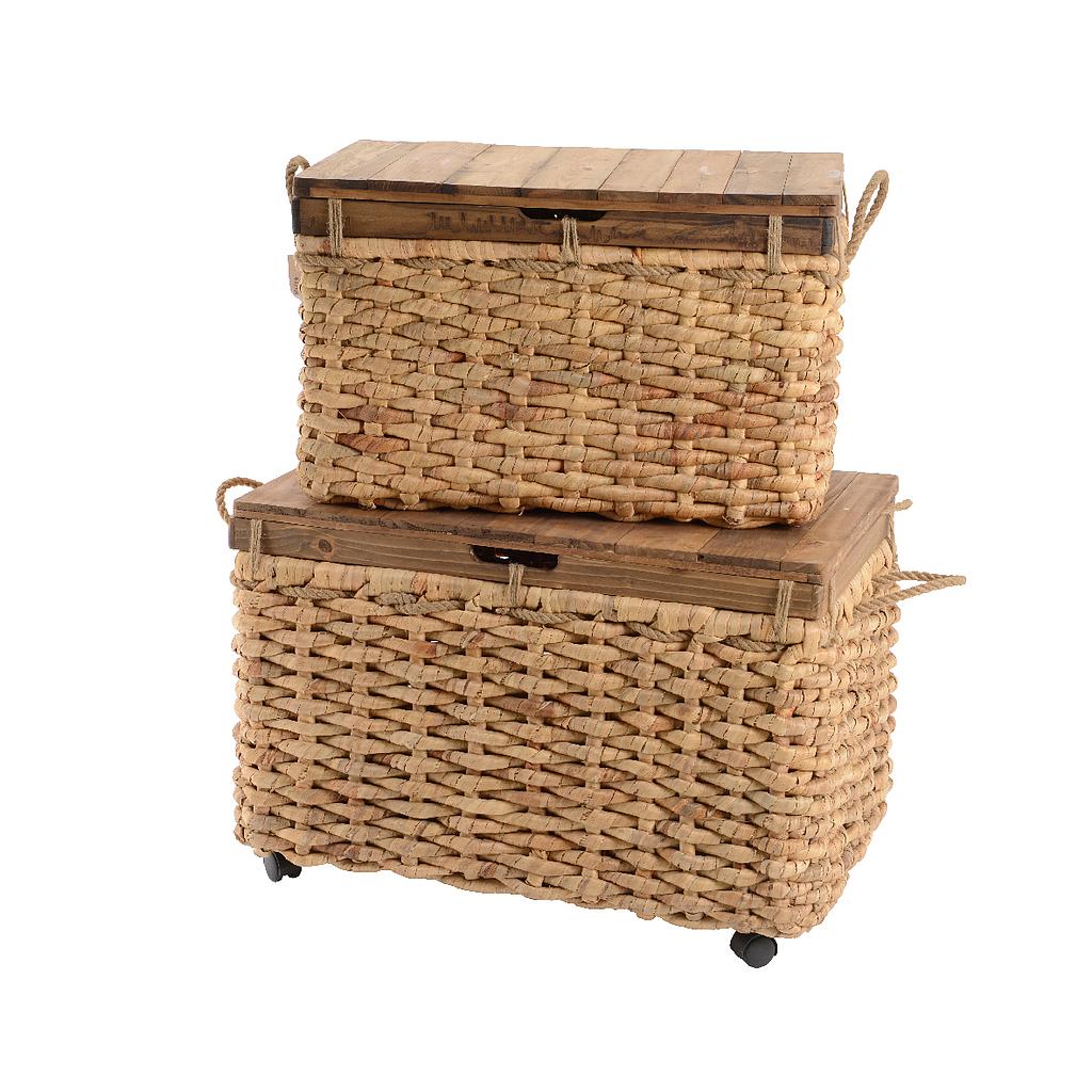 TRUNK WATERHYACINT L74-W44-H44CM