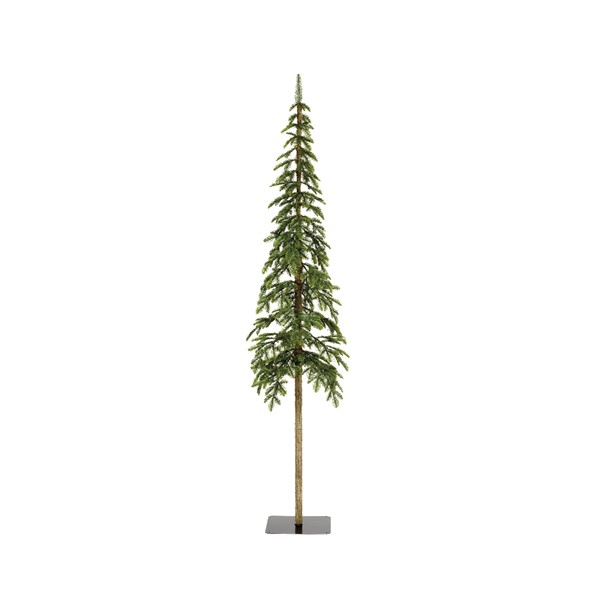 ALPINE FIR DIA75-H300CM