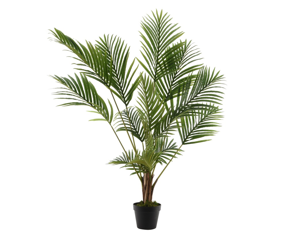 PALMTREE PLASTIC L50-W50-H125CM