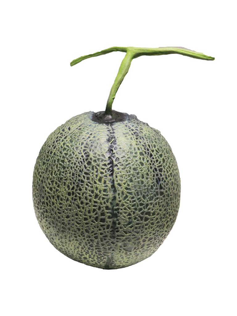 MELON CANTALOUPE 160MM