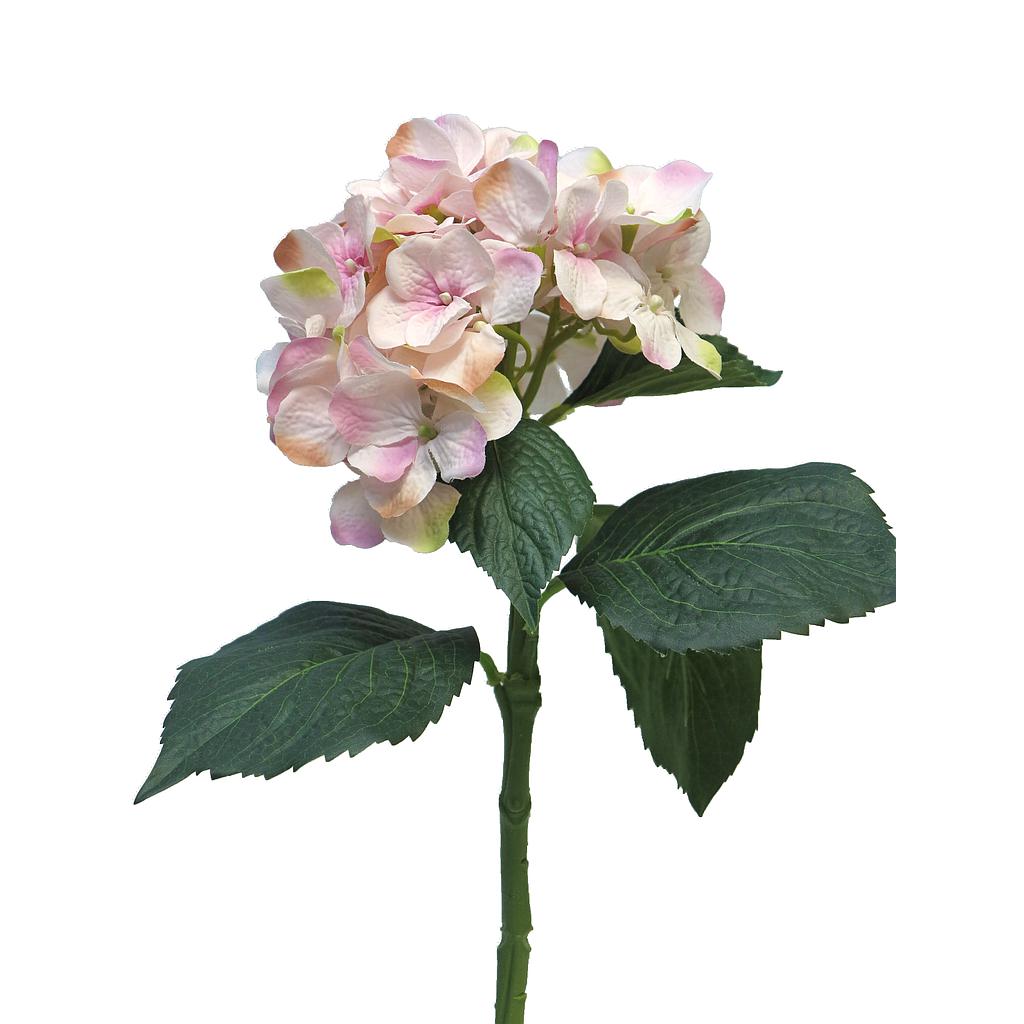 (Best) Hydrangea Artist pink 48cm