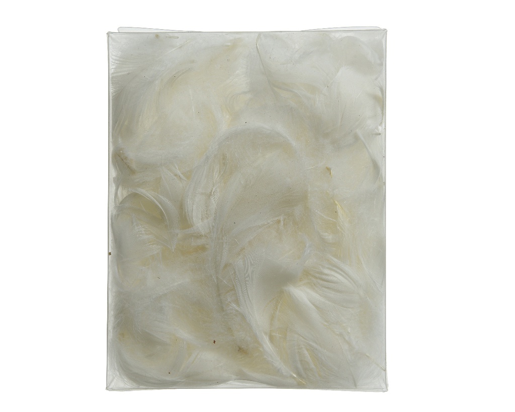 PLUMA BLANCA - BOLSITA