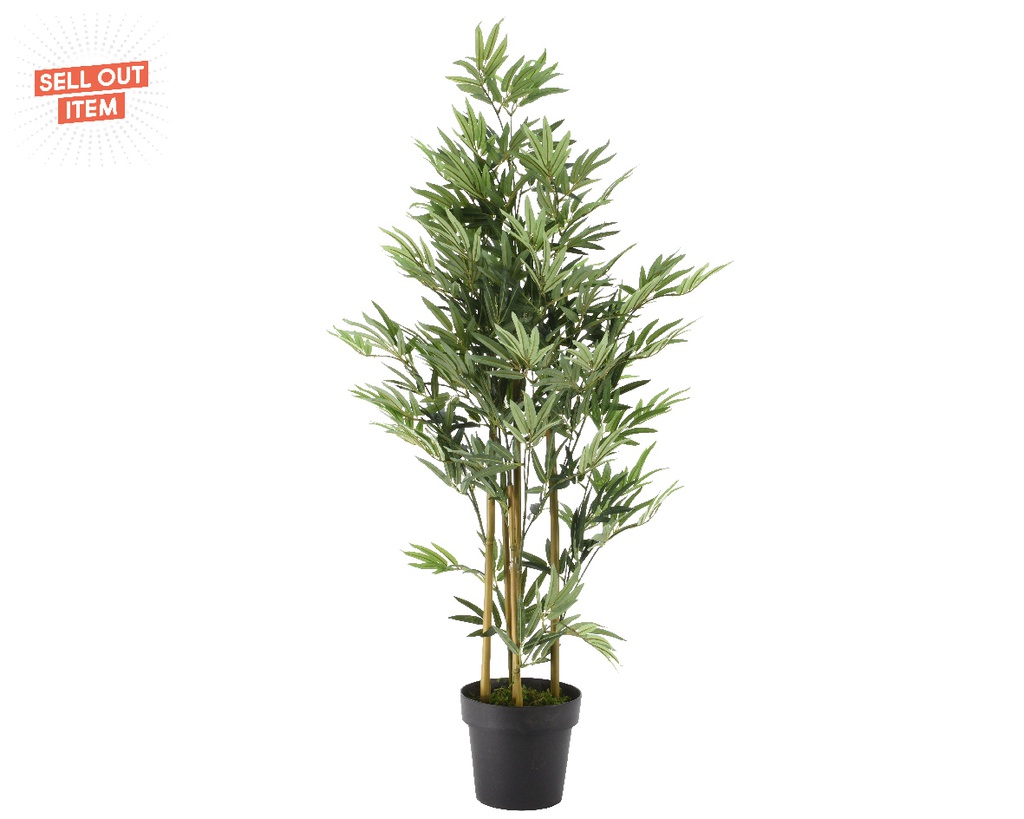PLANTA DE BAMBOO EN MACETA 160cm