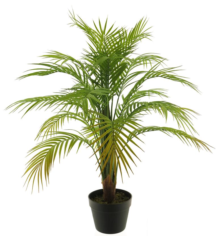 (Best) Areca palm in pot green 90cm