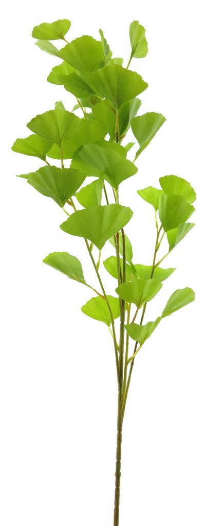 ***GINGKO LEAVES SPRAY SPRING GREEN 91CM