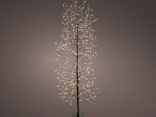 [4-491666] ARBOL MICRO NEGRO dia40-H180cm-1755L/CAL/EXT