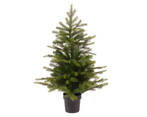 [4-680402] *** GRANDIS MINI TREE 680402