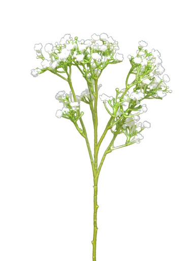 [12-88876-0] PANICULATA COLOR CREMA -RAMA DE 45CM