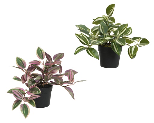 [4-800389] PLANTITA EN MACETA -  L23-W33-H20CM - 2 COLORES - PRECIO UNIDAD