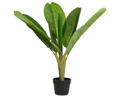 [4-800415] ***BANANA PLANT PE dia50-H75cm