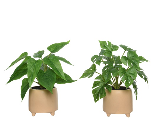 [4-801916] ***PLANT PE L11.50-W11.50-H28cm