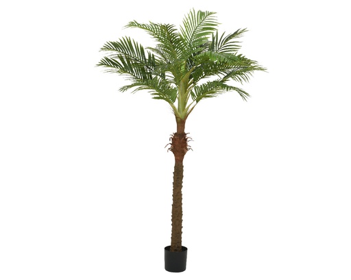 [4-804358] ***PALMTREE POLYESTER L110-W90-H230cm