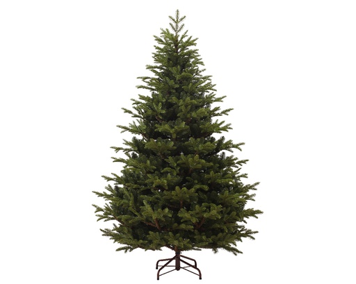 [4-689683] MOUNTAIN SPRUCE DIA167-H240CM