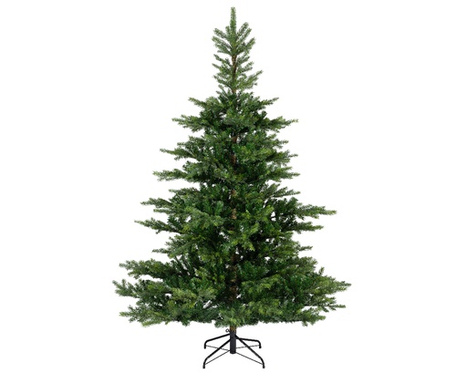 [4-684218] ABETO GRANDIS VERDE dia172.00-H270.00cm