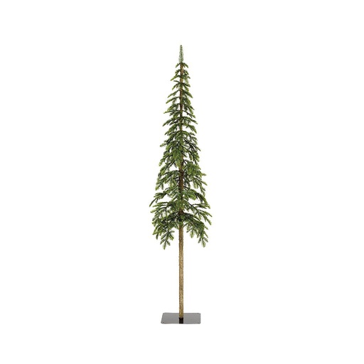 [4-680071] ALPINE FIR DIA41-H180CM