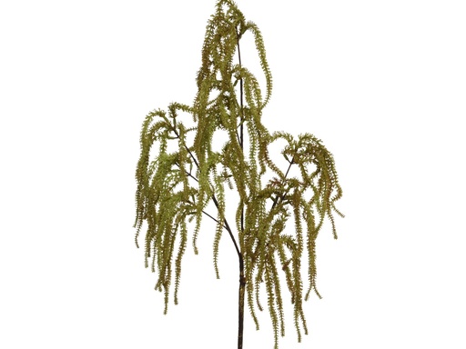 [4-704869] ***SPRAY PLASTIC BROWN L30.00-W15.00-H85.00cm