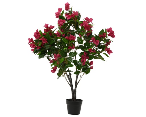 [4-808434] BOUGAINVILLEA PE FUCHSIA - dia60.00-H105.00cm