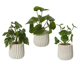 [4-808554] ***PLANT PE GREEN/WHITE dia11.00-H28.00cm