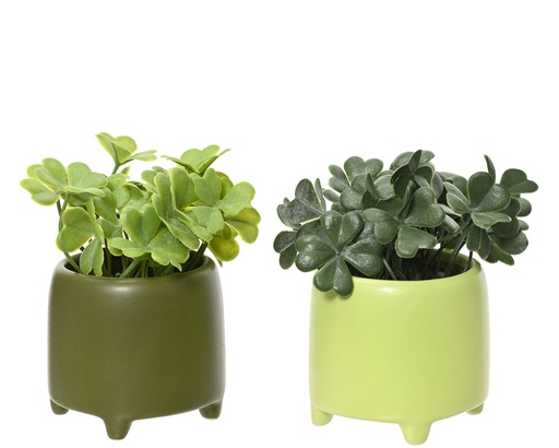 [4-808568] PLANTA EN MACETA CERAMICA VERDE - 2 COLORES - PRECIO UNIDAD - dia7.00-H13.00cm