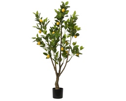 [4-808646] ***PLANT PE YELLOW/COLOUR(S) L60.00-W48.00-H130.00cm