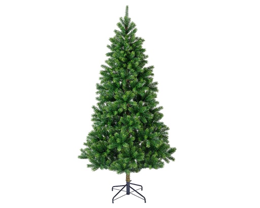 [4-684115] ***KENMORE FIR GREEN dia96.00-H180.00cm