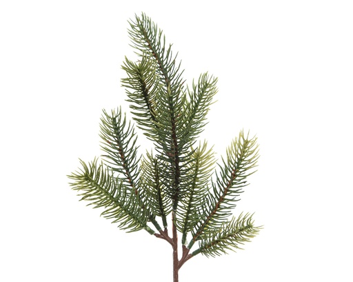 [4-684926] ***SPRAY GREEN L5.00-W11.00-H36.00cm